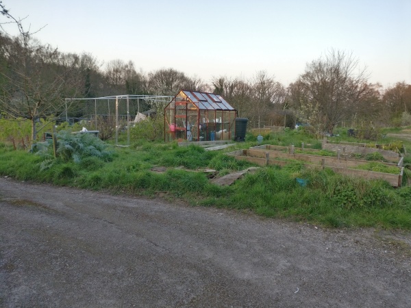 a photograph of an allotment